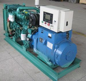 珠晖发电机出租